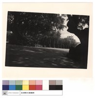 藏品(樓台遠景)的圖片