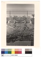 藏品(保安宮及古榕)的圖片