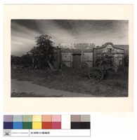 藏品(左廂)的圖片