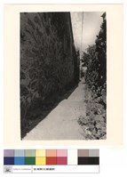 藏品(進之間的走道)的圖片