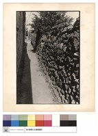 藏品(進之間的走道)的圖片