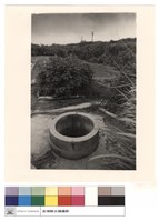 藏品(井觀)的圖片