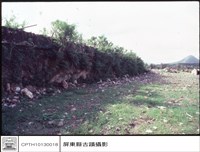 藏品(城牆)的圖片