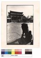 藏品(戲台及石獅)的圖片