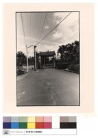 藏品(正面)的圖片