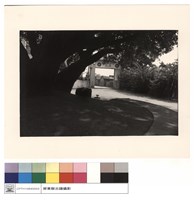 藏品(正面)的圖片