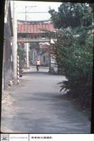 藏品(正面)的圖片