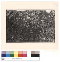 藏品(人石碑)的圖片