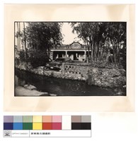 藏品(正面)的圖片