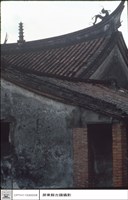 藏品(後觀)的圖片