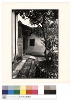 藏品(左廂)的圖片