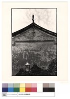 藏品(大廳燕尾)的圖片