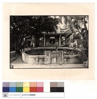 藏品(全景)的圖片