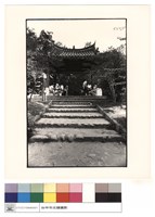 藏品(正面)的圖片