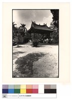 藏品(側觀)的圖片