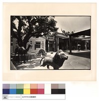 藏品(外觀(右))的圖片