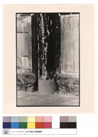 藏品(門檻獅刻)的圖片