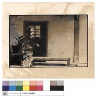 藏品(右廂)的圖片