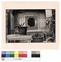 藏品(右廂窗)的圖片