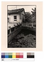 藏品(荷花池)的圖片