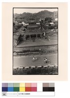 藏品(頂視)的圖片