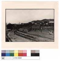 藏品(頂視)的圖片