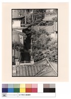 藏品(頂視)的圖片