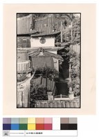 藏品(頂視)的圖片