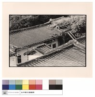 藏品(頂視)的圖片