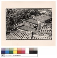 藏品(頂視)的圖片