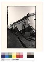 藏品(背觀)的圖片