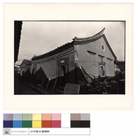 藏品(背觀)的圖片