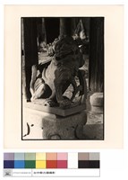 藏品(石獅)的圖片