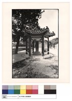 藏品(全景)的圖片