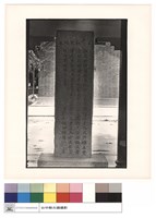 藏品(正面)的圖片