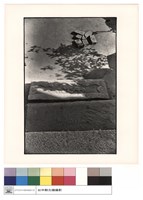 藏品(石板)的圖片