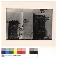 藏品(墓碑)的圖片