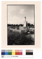 藏品(外觀)的圖片