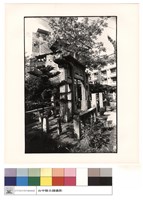 藏品(右側觀)的圖片