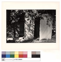 藏品(石碑)的圖片