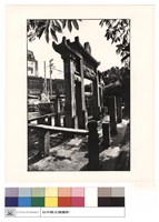 藏品(左側觀)的圖片