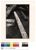 藏品(大樑)的圖片