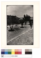 藏品(後觀二進之間)的圖片