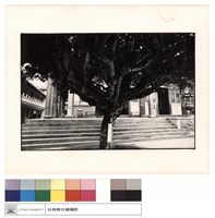 藏品(一進右前觀)的圖片