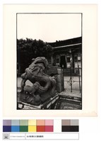 藏品(石獅與廟)的圖片