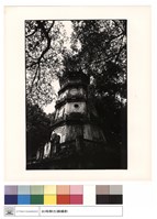 藏品(骨灰塔)的圖片