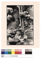 藏品(陶雕)的圖片