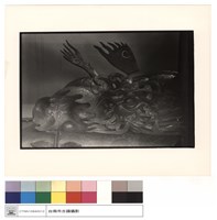 藏品(雀提)的圖片