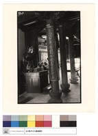 藏品(七爺)的圖片