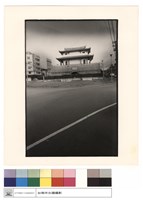 藏品(外觀)的圖片